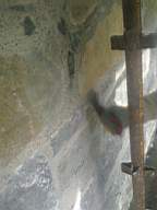 millstreet 13320.jpg